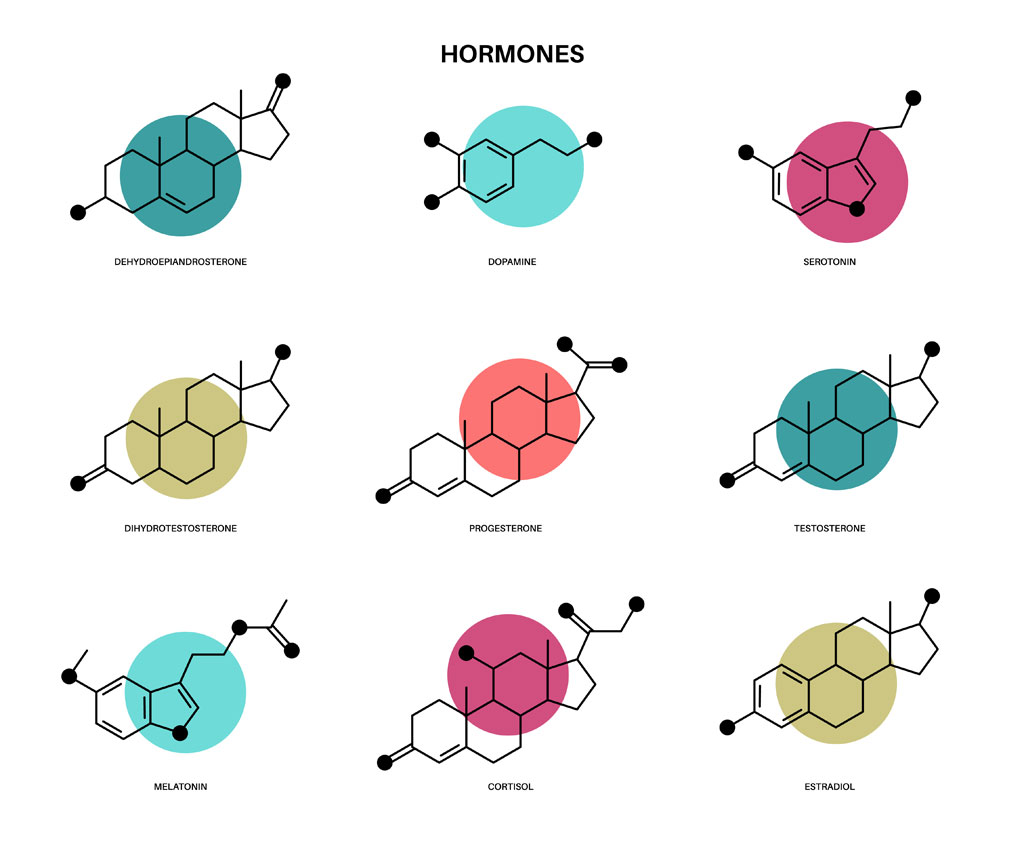 different types of hormones